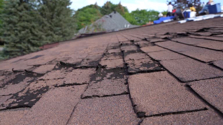 Best Flat Roofing  in Lowellville, OH
