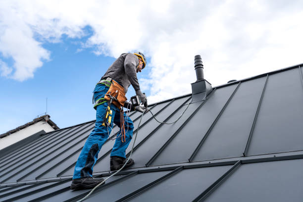 Best Roof Maintenance and Cleaning  in Lowellville, OH